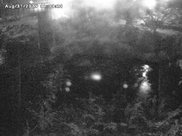 日野川１０2025/08/31 11:20:00