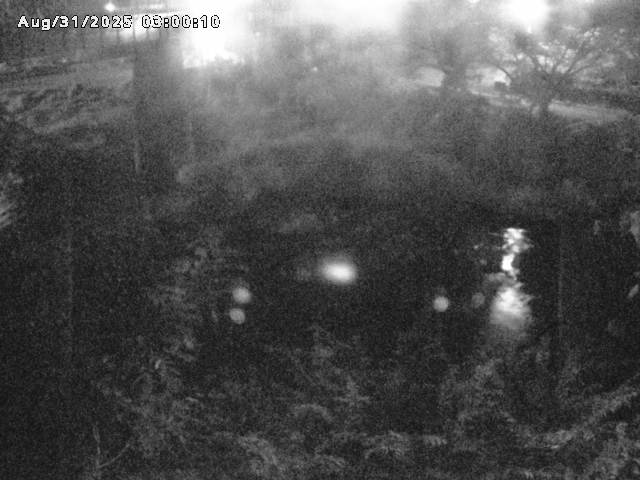 日野川１０2025/08/31 11:20:00