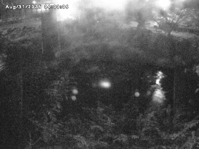 日野川１０2025/08/31 11:20:00
