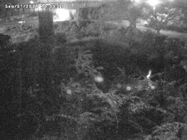 日野川１０2026/09/02 6:50:00