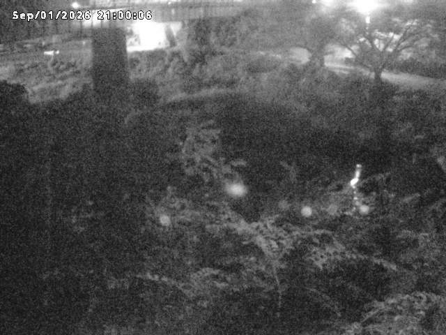 日野川１０2026/09/02 6:50:00