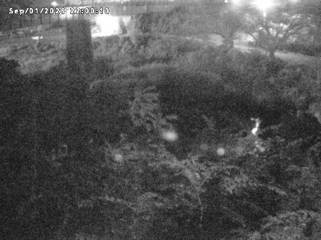 日野川１０2026/09/02 6:50:00