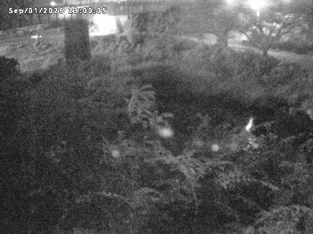 日野川１０2026/09/02 6:50:00