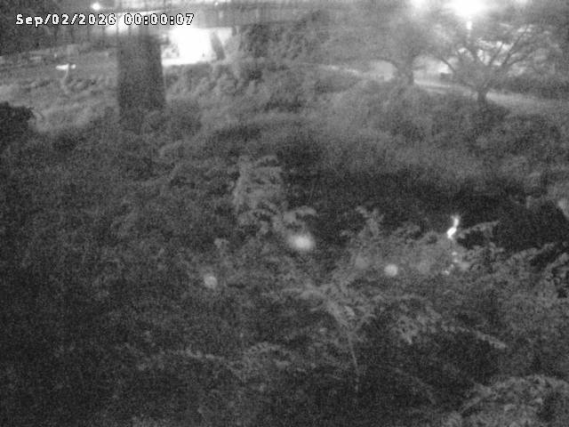 日野川１０2026/09/02 6:50:00