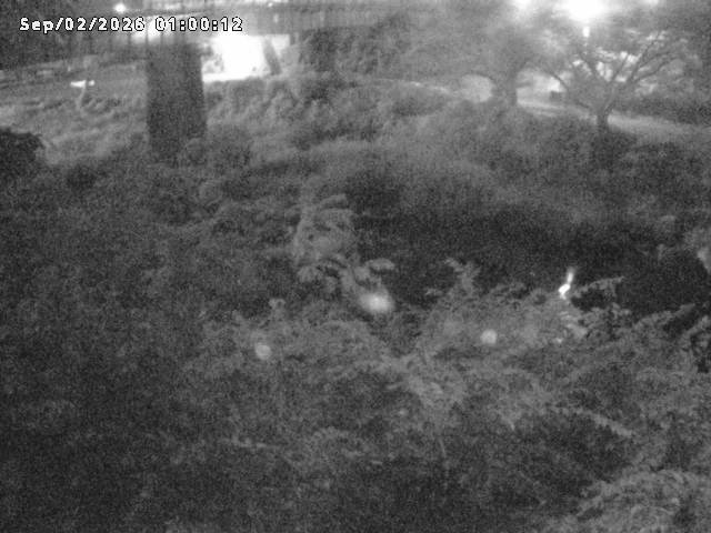 日野川１０2026/09/02 6:50:00