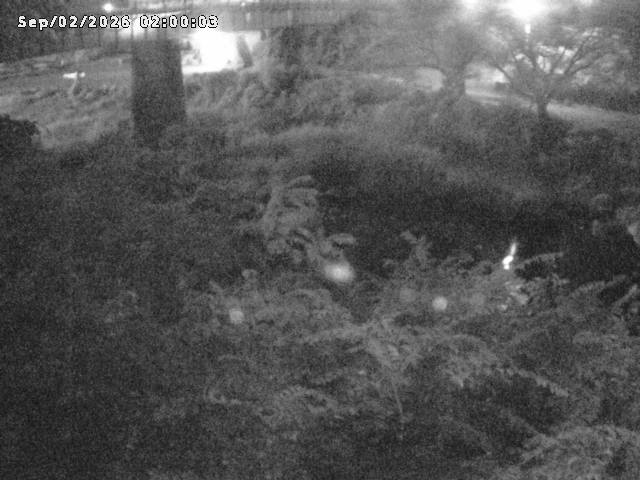日野川１０2026/09/02 6:50:00