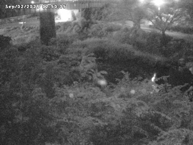 日野川１０2026/09/02 6:50:00
