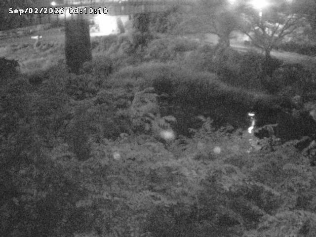日野川１０2026/09/02 6:50:00
