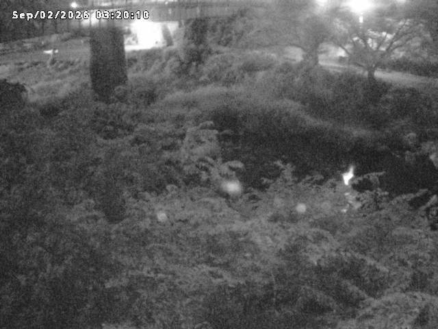 日野川１０2026/09/02 6:50:00