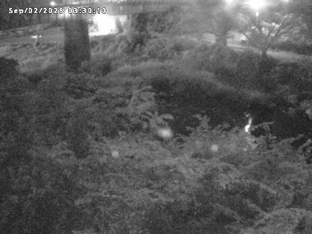 日野川１０2026/09/02 6:50:00