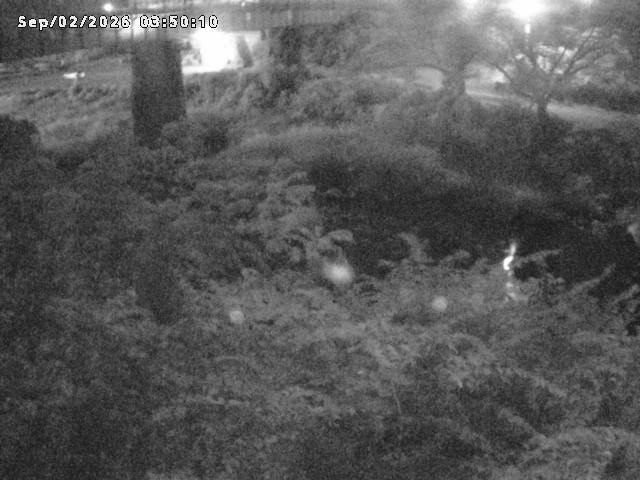 日野川１０2026/09/02 6:50:00