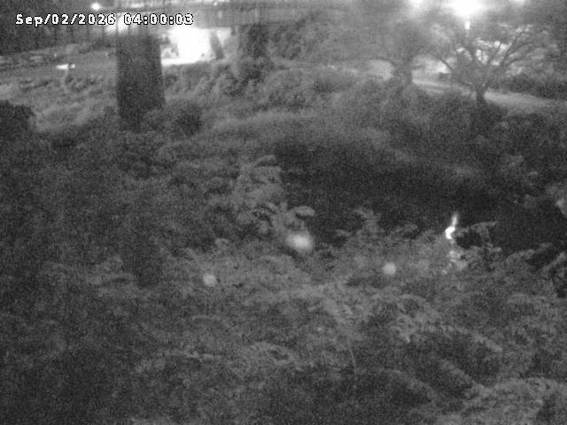 日野川１０2026/09/02 6:50:00