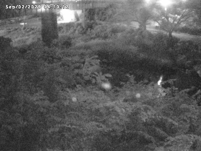 日野川１０2026/09/02 6:50:00