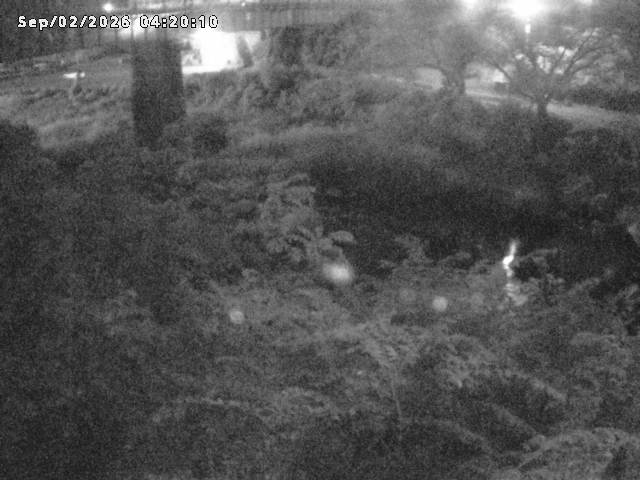 日野川１０2026/09/02 6:50:00