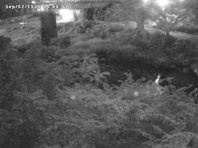 日野川１０2026/09/02 6:50:00