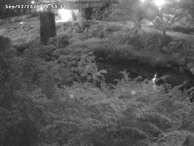 日野川１０2026/09/02 6:50:00