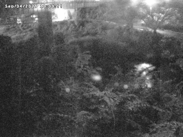 日野川１０2026/09/05 7:00:00