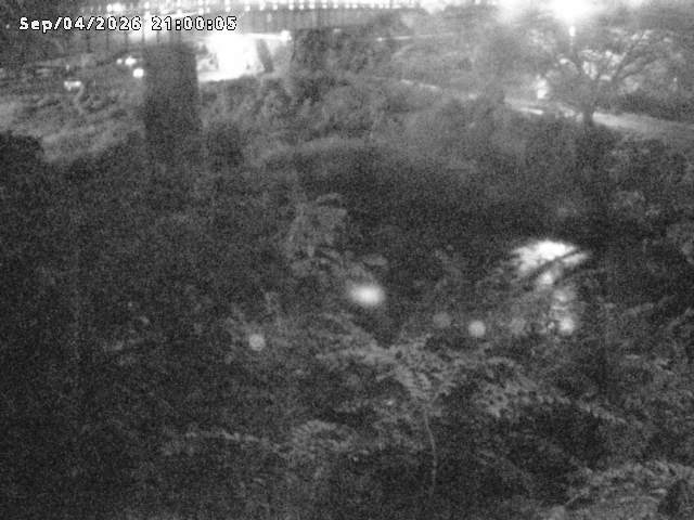 日野川１０2026/09/05 7:00:00