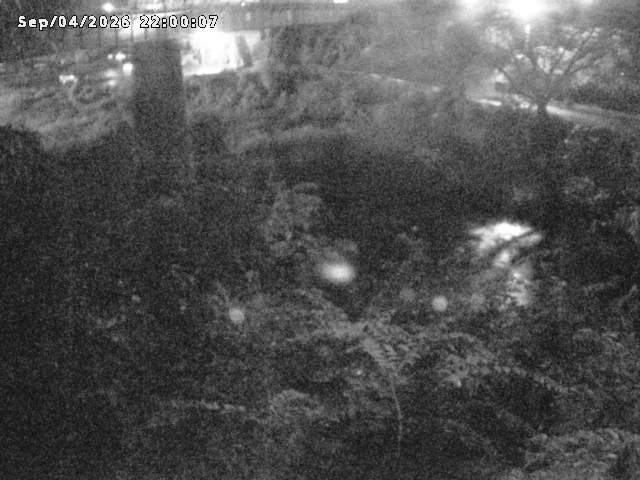 日野川１０2026/09/05 7:00:00