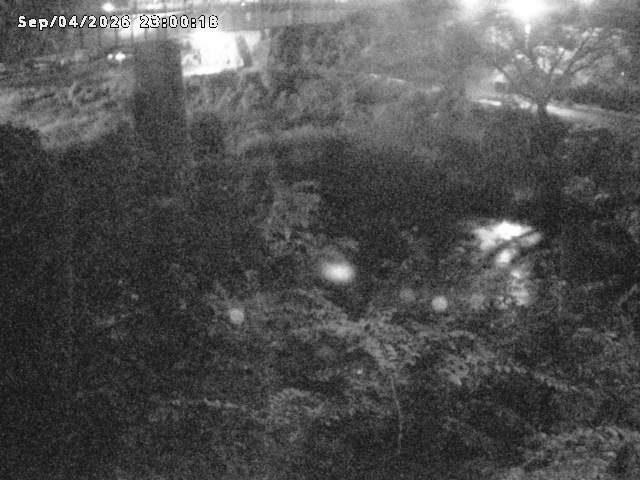 日野川１０2026/09/05 7:00:00