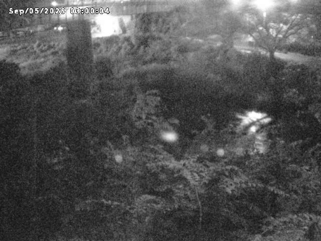 日野川１０2026/09/05 7:00:00