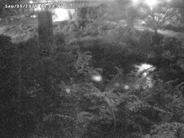 日野川１０2026/09/05 7:00:00