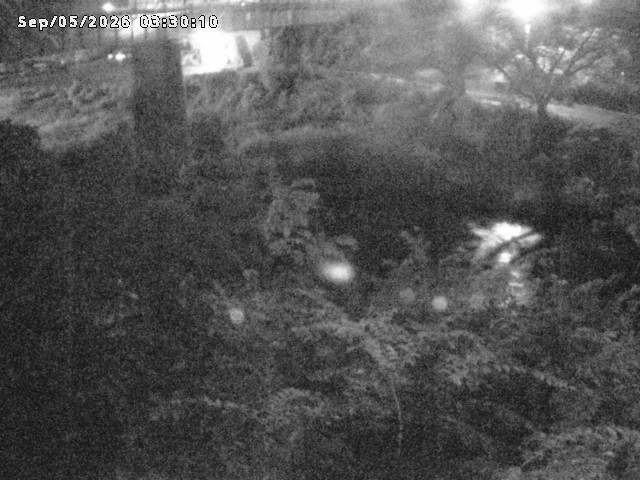 日野川１０2026/09/05 7:00:00