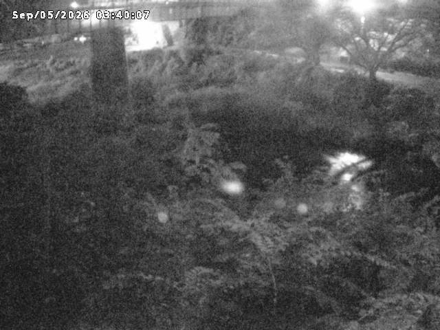 日野川１０2026/09/05 7:00:00