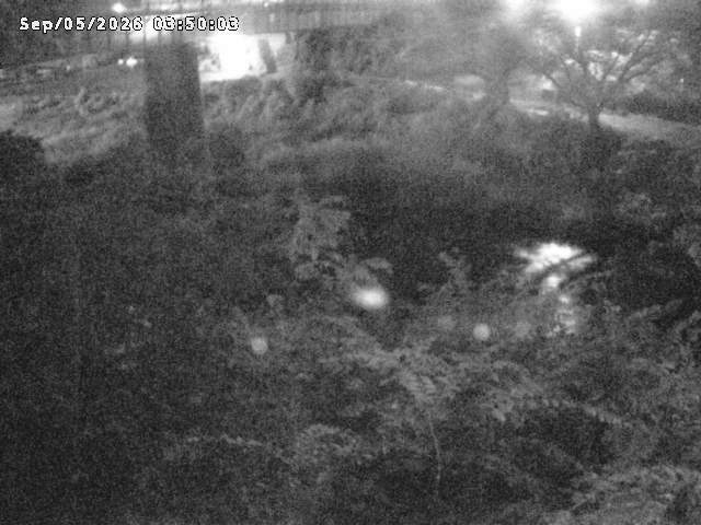 日野川１０2026/09/05 7:00:00