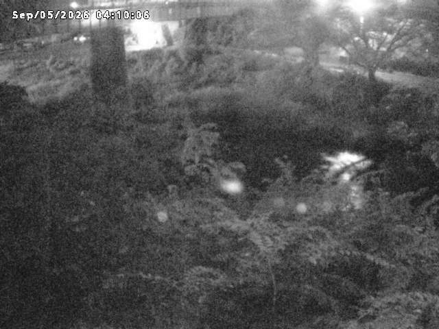 日野川１０2026/09/05 7:00:00