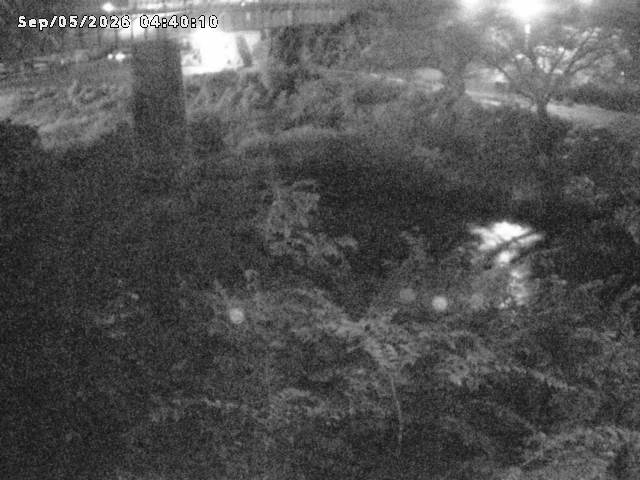 日野川１０2026/09/05 7:00:00