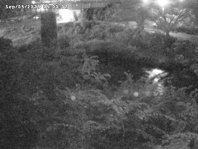 日野川１０2026/09/05 7:00:00