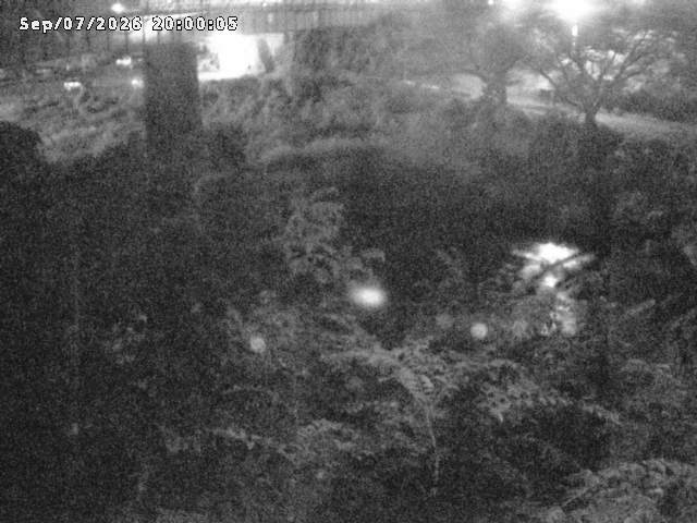日野川１０2026/09/08 7:10:00