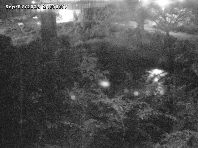 日野川１０2026/09/08 7:10:00