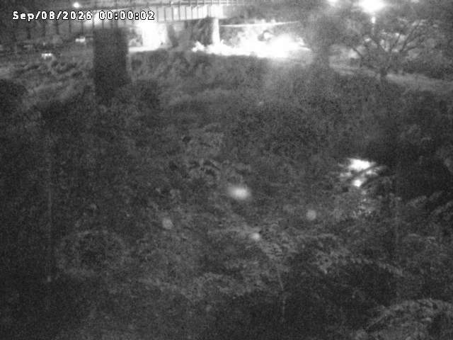 日野川１０2026/09/08 7:10:00