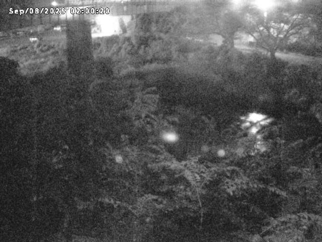 日野川１０2026/09/08 7:10:00