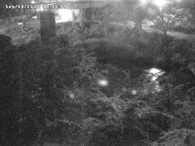 日野川１０2026/09/08 7:10:00