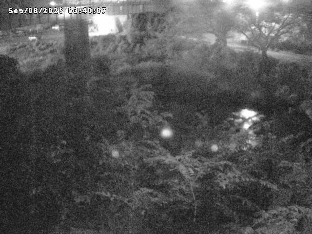 日野川１０2026/09/08 7:10:00