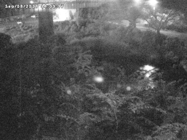 日野川１０2026/09/08 7:10:00