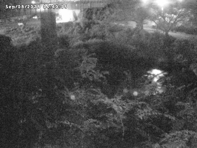 日野川１０2026/09/08 7:10:00