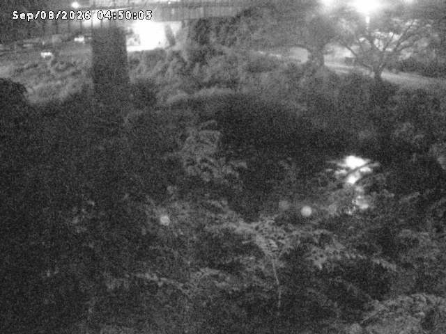 日野川１０2026/09/08 7:10:00
