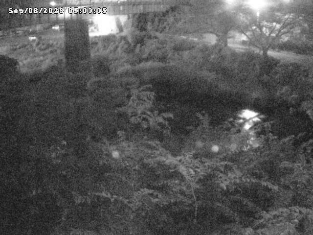 日野川１０2026/09/08 7:10:00