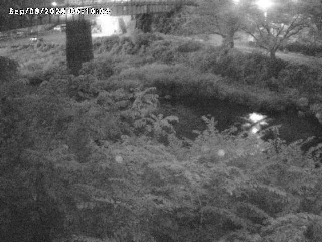 日野川１０2026/09/08 7:10:00