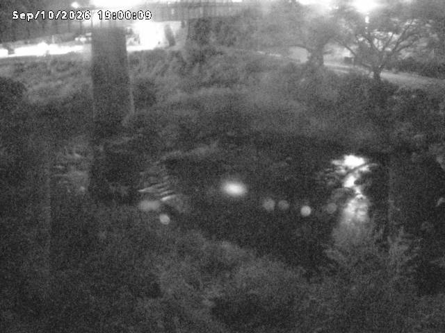 日野川１０2026/09/11 8:10:00