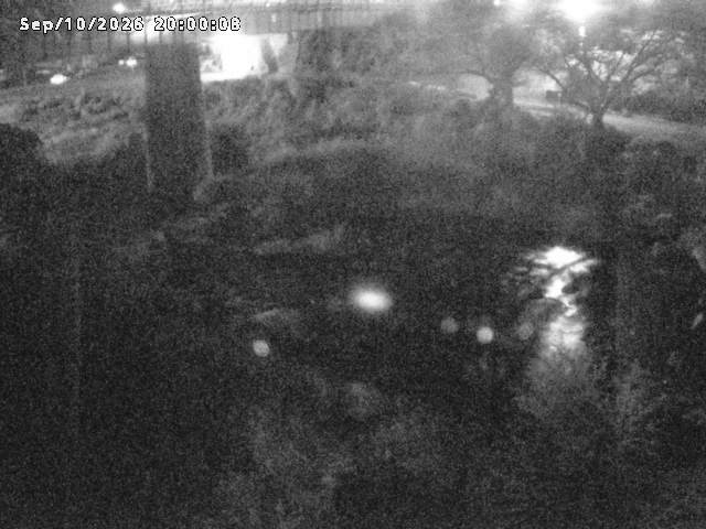日野川１０2026/09/11 8:10:00