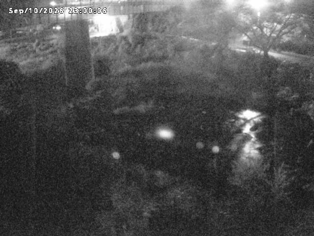 日野川１０2026/09/11 8:10:00