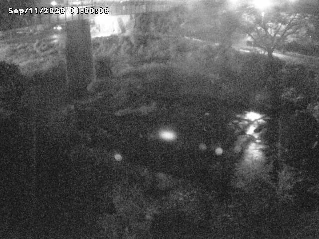 日野川１０2026/09/11 8:10:00
