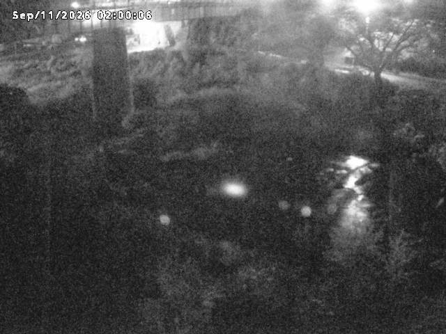 日野川１０2026/09/11 8:10:00