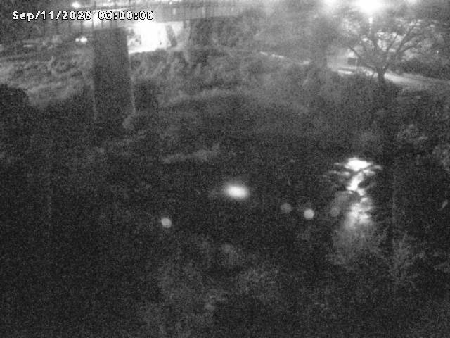 日野川１０2026/09/11 8:10:00