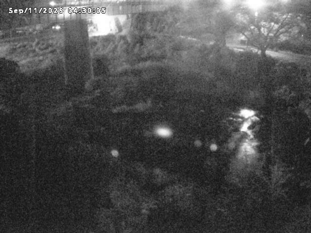 日野川１０2026/09/11 8:10:00